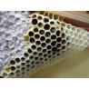 MIEL DE CASTAÑO y zarza 1KG